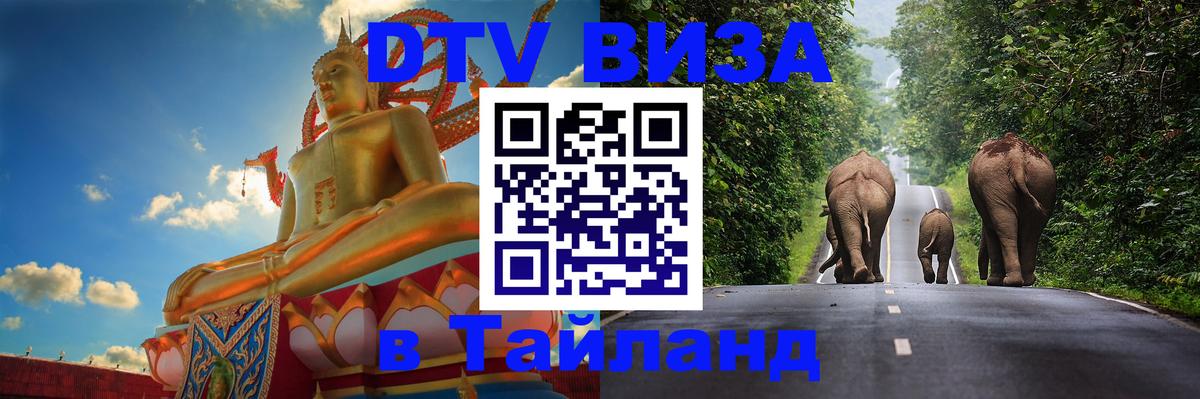Сколько стоит DTV виза — актуальные цены, оформление даже без документов - Михайловск 